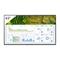 Sony FW-43BZ30L (43"), LED-televisio – kuva 6