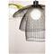 Forestier - Papillon Riippuvalaisin L Black Forestier – kuva 3