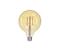 Himmennettävä LED-polttimo FILAMENT G125 E27/12W/230V 2000K – kuva 1