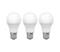 SETTI 3x LED-polttimo ECOLINE A60 E27/15W/230V 4000K - Brilagi – kuva 1