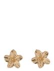 LMTD Nlfhibi Mini Earrings - Gold - ONE SIZE