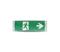 LED hätävalaisin EMERGENCY EXIT LED/3W/230V IP65 6000K 1200mAh – kuva 1