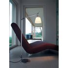 Tolomeo Basculante Lettura Lattiavalaisin Satin Artemide - Olohuone - Alumiini
