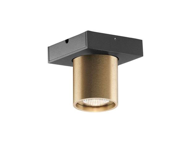 LIGHT-POINT - Focus 1 LED Kattovalaisin 3000K Brass Light-Point – kuva 3/3