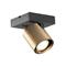 LIGHT-POINT - Focus 1 LED Kattovalaisin 2700K Brass Light-Point – kuva 3