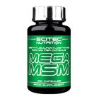 Mega MSM 100 kapselia