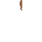Flos Flauta H225 Riga Wall Light, Copper – kuva 6
