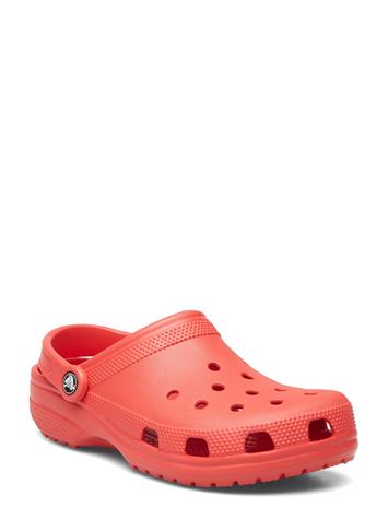 Crocs Classic Shoes Mules & Clogs Green Crocs