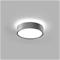 LIGHT-POINT - Shadow 2 kattovalaisin, IP54, 6,5 cm, hopea – kuva 2