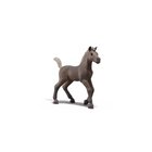 Schleich Collectible Foal Darcy