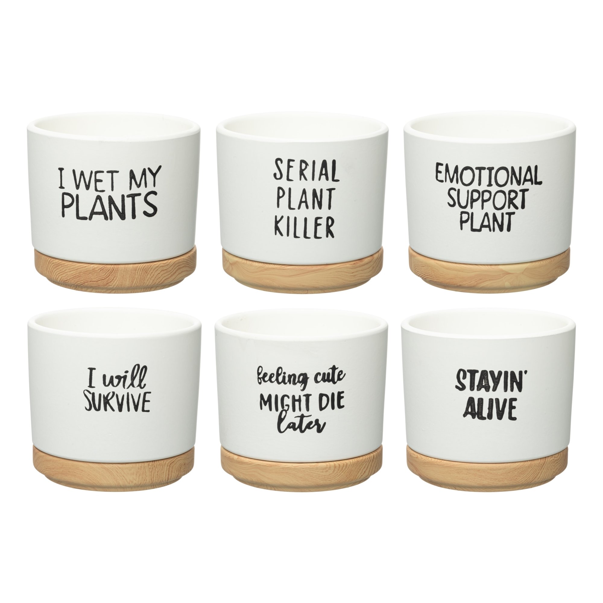 4Living Quotes 12cm ruukku aluslautasella