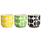 4Living Kaari 15 cm suojaruukku lajitelma