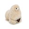 Inkari Alpacas Alpaca Mini - Blond - 15CM – kuva 1