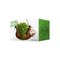 Mikamax Sloth Planter – kuva 1