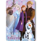 Disney Frozen Winter -lastenviltti, 100×140 cm