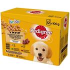 Pedigree Junior Selection Mix, Koiran märkäruoka, Puppy, 12 x 100 g
