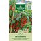 Paprika De Cayenne siemen – kuva 1