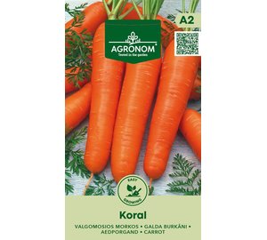 Koral porkkana siemrn