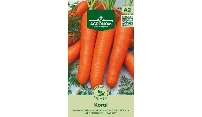 Koral porkkana siemrn