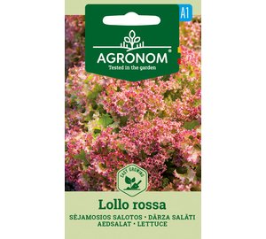 Lollo Rossa salaatti siemen