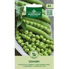 Lincoln silpoydinherne siemen