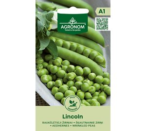 Lincoln silpoydinherne siemen