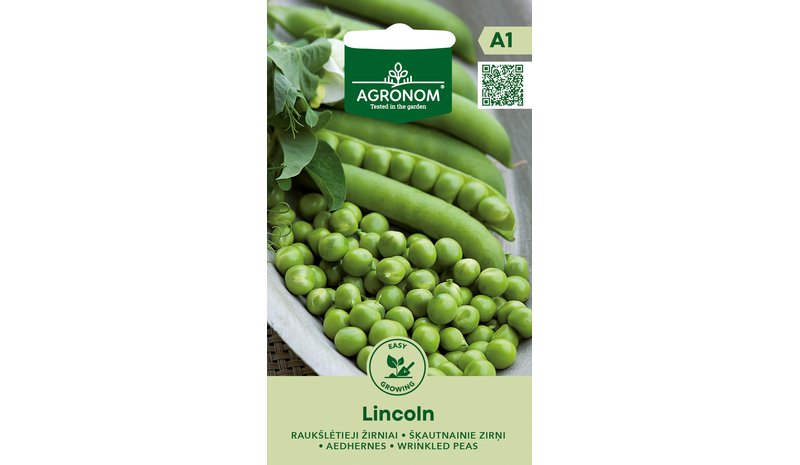 Lincoln silpoydinherne siemen