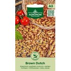 Kääpiöpavut Brown Dutch siemen