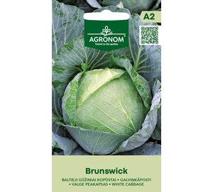 Valkokeräkaali Brunswick siemen