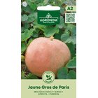 Iso kurpitsa Jaune Gros De Paris siemen
