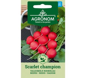 Retiisi Scarlet Champion siemen