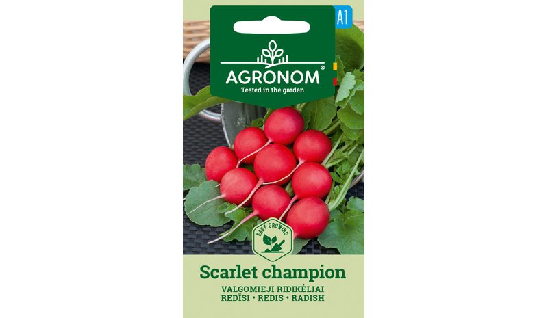 Retiisi Scarlet Champion siemen