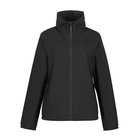 Icepeak Britton naisten kuoritakki