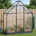 vidaXL Puutarhan Viherhuone ovella Antrasiitti 183,5 x 63,5 x 207 cm