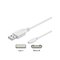 Pro USB-A <-> USB Micro-B - 1m - Valkoinen – kuva 1