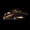 Norolan Griddy Dancer Mini spinnerbait – kuva 3