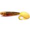 Fox Rage Pro Grub 8cm kuminauha – kuva 1