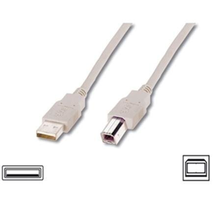 DIGITUS ASSMANN - USB cable - USB to USB Type B - 1.8 m, Kaapelit ja adapterit – kuva 4/8