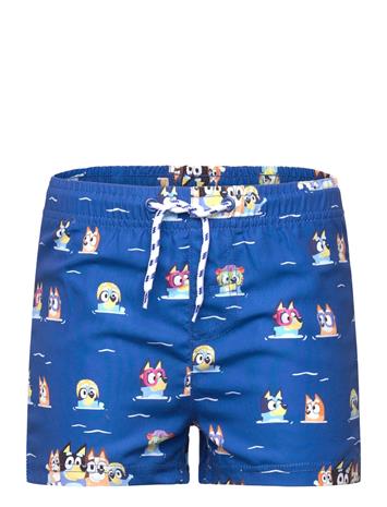 Bluey Swimwear - Multi/patterned - 116