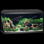 Juwel Akvaario Primo 110 2.0 Musta 81X36X43.5 cm 110L