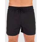 Rip Curl Offset Volley Surffishortsit black Miehet