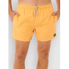 Rip Curl Offset Volley Surffishortsit bright orange Miehet