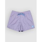 Quiksilver Everyday Solid Volley 15 Surffishortsit daybreak Miehet