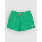 Quiksilver Everyday Solid Volley 15 Surffishortsit leprechaun Miehet