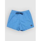 Quiksilver Everyday Solid Volley 15 Surffishortsit riviera Miehet