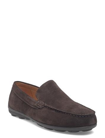 GEOX U Spherica Ec16 A - Brown - 46