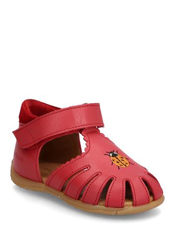 ANGULUS Sandals - Flat - Closed Toe - Red - 23