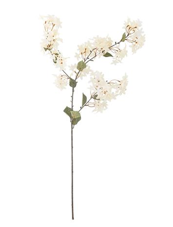 Bloomingville Myrtle Stem - White - H100CM – kuva 2/2
