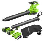 Greenworks GD40BVIIK2X 40V 2x2,0Ah, akkulehtipuhallin