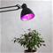 LED-lamppu kasveille E27 6,5 W – kuva 6